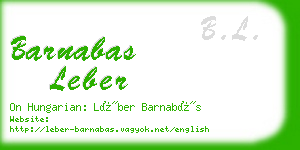 barnabas leber business card